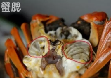 螃蟹哪里不能吃？(图1)